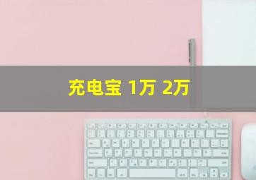 充电宝 1万 2万